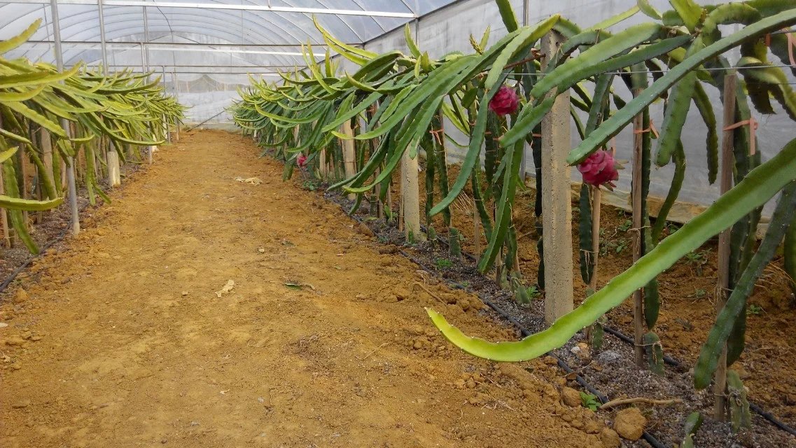 1470036633863877.jpg psb (4).jpg