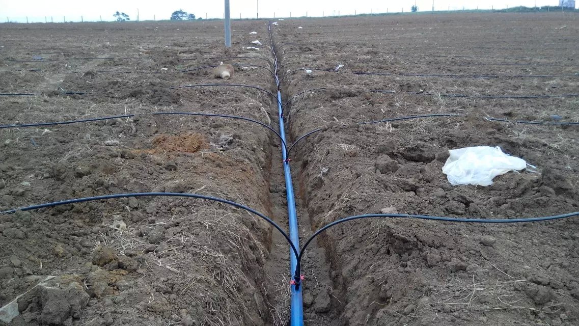 1470036470198650.jpg psb (7).jpg