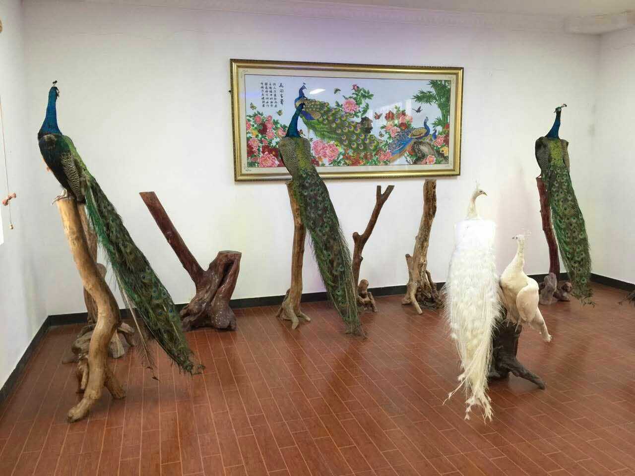 1484534767148909.jpg 238400033200616970.jpg