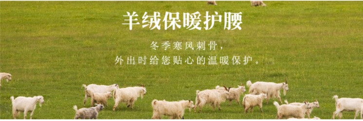 羊絨保暖護腰圖