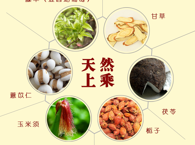 1493087862416947.jpg 石清藤茶新款功效版詳情_12.jpg