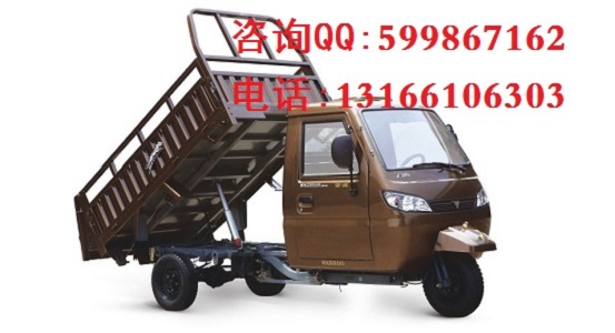 1503649651533871.jpg 尊虎.jpg